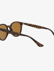 RAY-BAN 0RB4305 Unisex Kahverengi Güneş Gözlüğü RAY-BAN 0RB4305 Unisex Kahverengi Güneş Gözlüğü