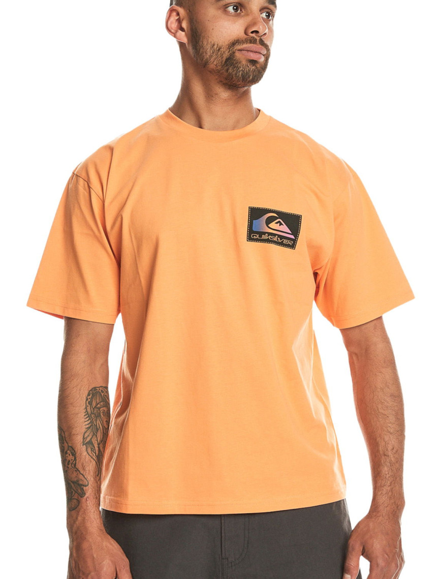 Quiksilver Back Flash Erkek Bej Tişört Quiksilver Back Flash Erkek Bej Tişört