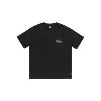 Quiksilver Take Us Back Logo Erkek Gri Tişört Quiksilver Take Us Back Logo Erkek Gri Tişört