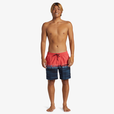 Quiksilver Everyday Erkek Renkli Mayo Şort Quiksilver Everyday Erkek Renkli Mayo Şort