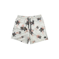 Quiksilver Erkek Volley Short Mix 17 M Jamv Birch Günlük Giyim Quiksilver Erkek Volley Short Mix 17 M Jamv Birch Günlük Giyim
