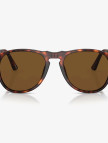PERSOL Acetate Erkek Kahverengi Güneş Gözlüğü