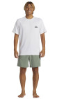 Quiksilver Everyday Surf Erkek Beyaz Likra Quiksilver Everyday Surf Erkek Beyaz Likra