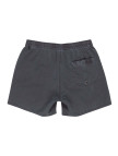 Quiksilver Everyday Surfwash Volley 15 Erkek Siyah Volley Short