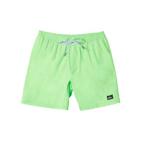 Quiksilver Everyday Solid 15 Erkek Yeşil Volley Short Quiksilver Everyday Solid 15 Erkek Yeşil Volley Short