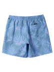 Quiksilver Everyday Mix 15 Erkek Mavi Volley Short