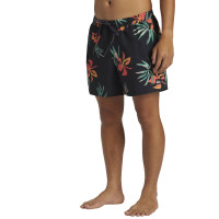 Quiksilver Everyday Mix 15 Erkek Siyah Volley Short
