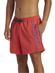 Quiksilver Everyday Vert Volley 16 Erkek Volley Short