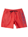 Quiksilver Everyday Vert 16 Erkek Siyah Volley Short