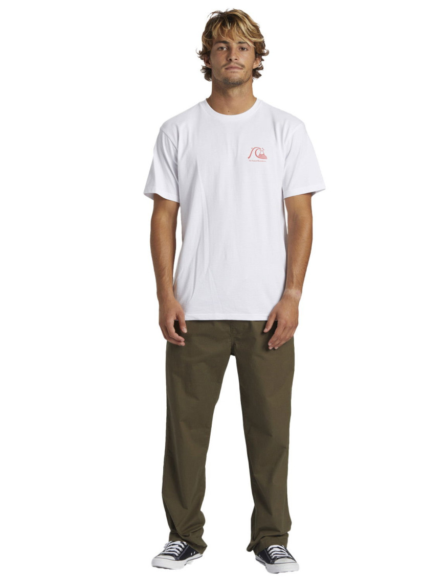 Quiksilver Dna Beach Pant Erkek Yeşil Pantolon Quiksilver Dna Beach Pant Erkek Yeşil Pantolon