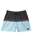 Quiksilver Everyday Wordblock Volley 17 Erkek Volley Short Quiksilver Everyday Wordblock Volley 17 Erkek Volley Short