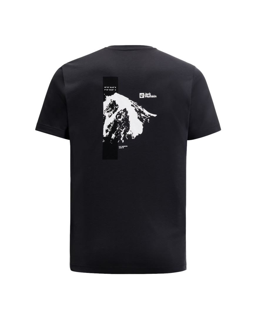 Jack Wolfskin Vonnan S/s Graphic T Erkek Gri Tişört