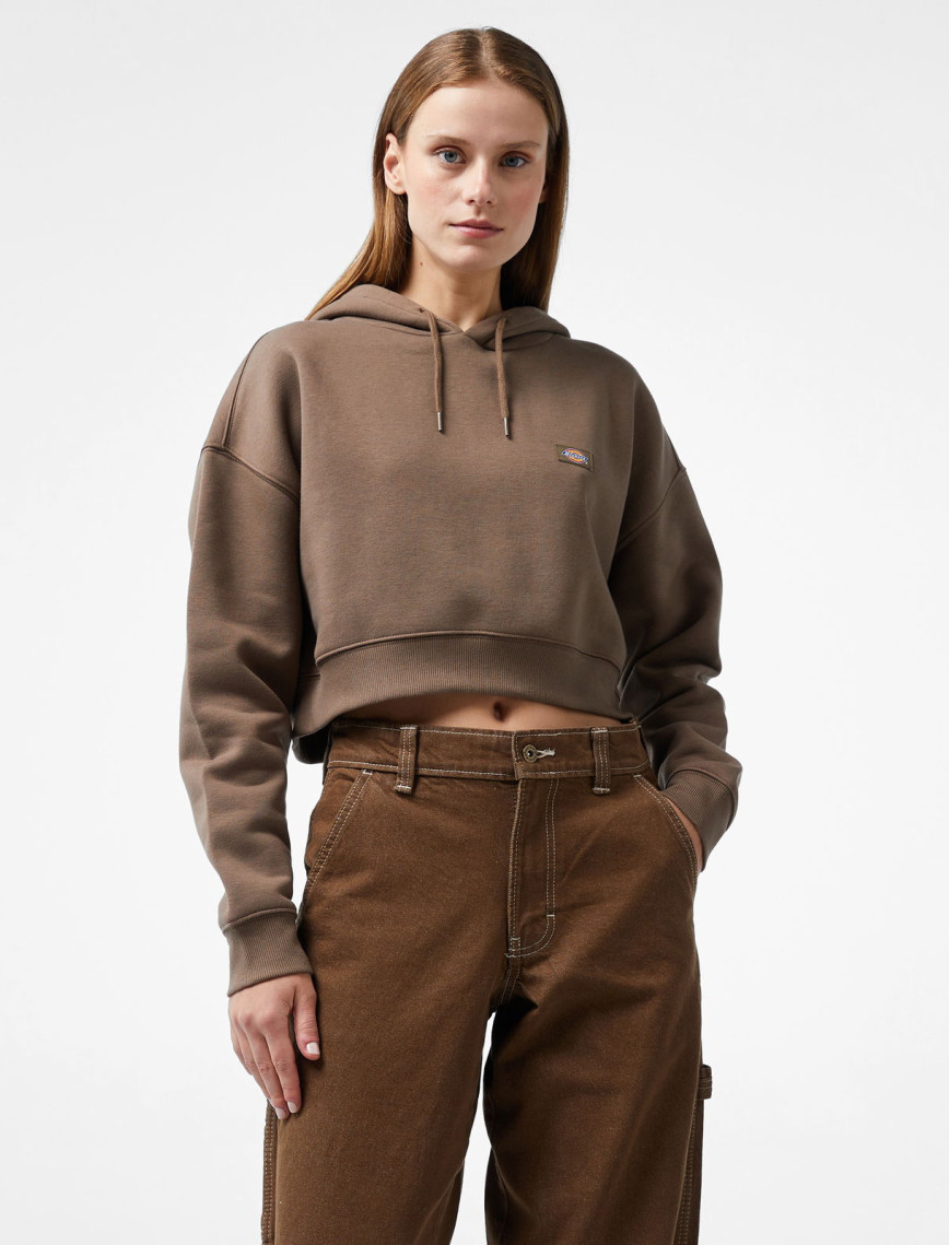 Dickies Oakport Cropped Kadın Siyah Hoodie Dickies Oakport Cropped Kadın Siyah Hoodie