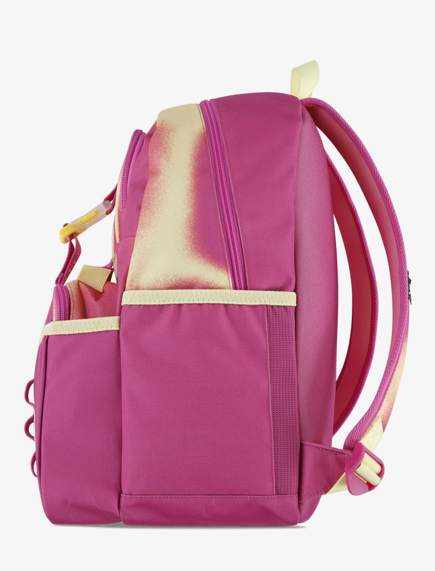 Jordan Jan Air Jordan Lunch Unisex Pembe Sırt Çantası Jordan Jan Air Jordan Lunch Unisex Pembe Sırt Çantası