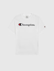 Champion Big Logo Cotton Jersey Erkek Renkli T-Shirt