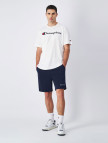 Champion Big Logo Cotton Jersey Erkek Renkli T-Shirt
