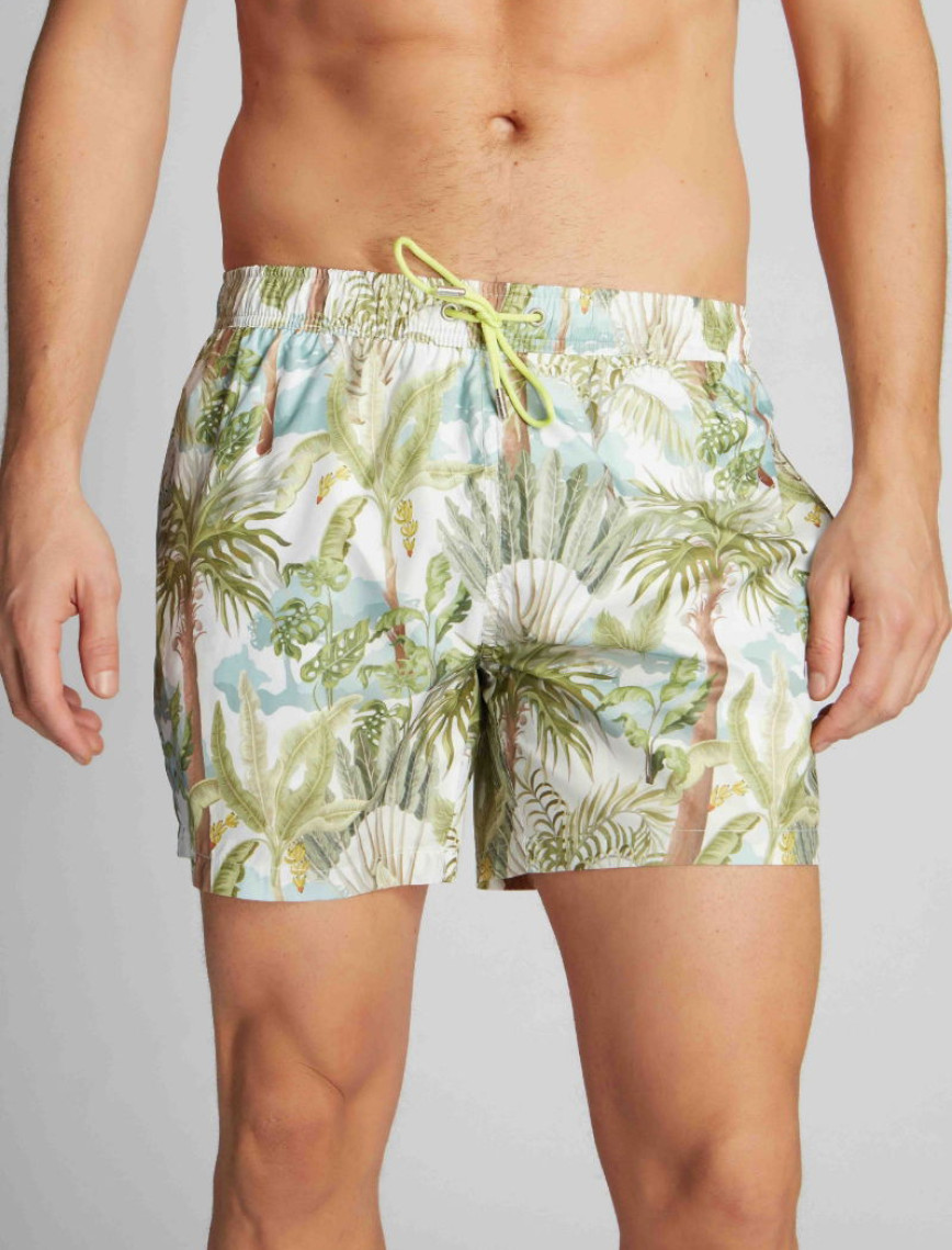 Erkek Deniz Şortu 23513 50326 - Palm tree Erkek Deniz Şortu 23513 50326 - Palm tree