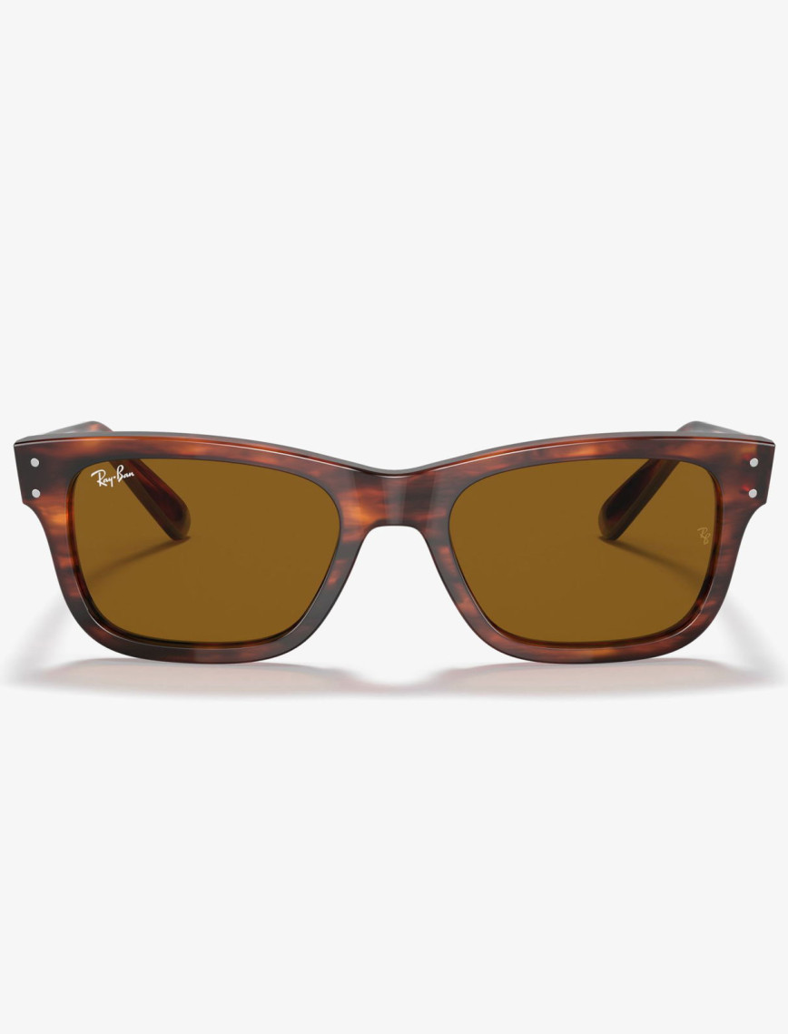 Ray-Ban 0RB2283 Erkek Striped Havana Kahverengi Güneş Gözlüğü