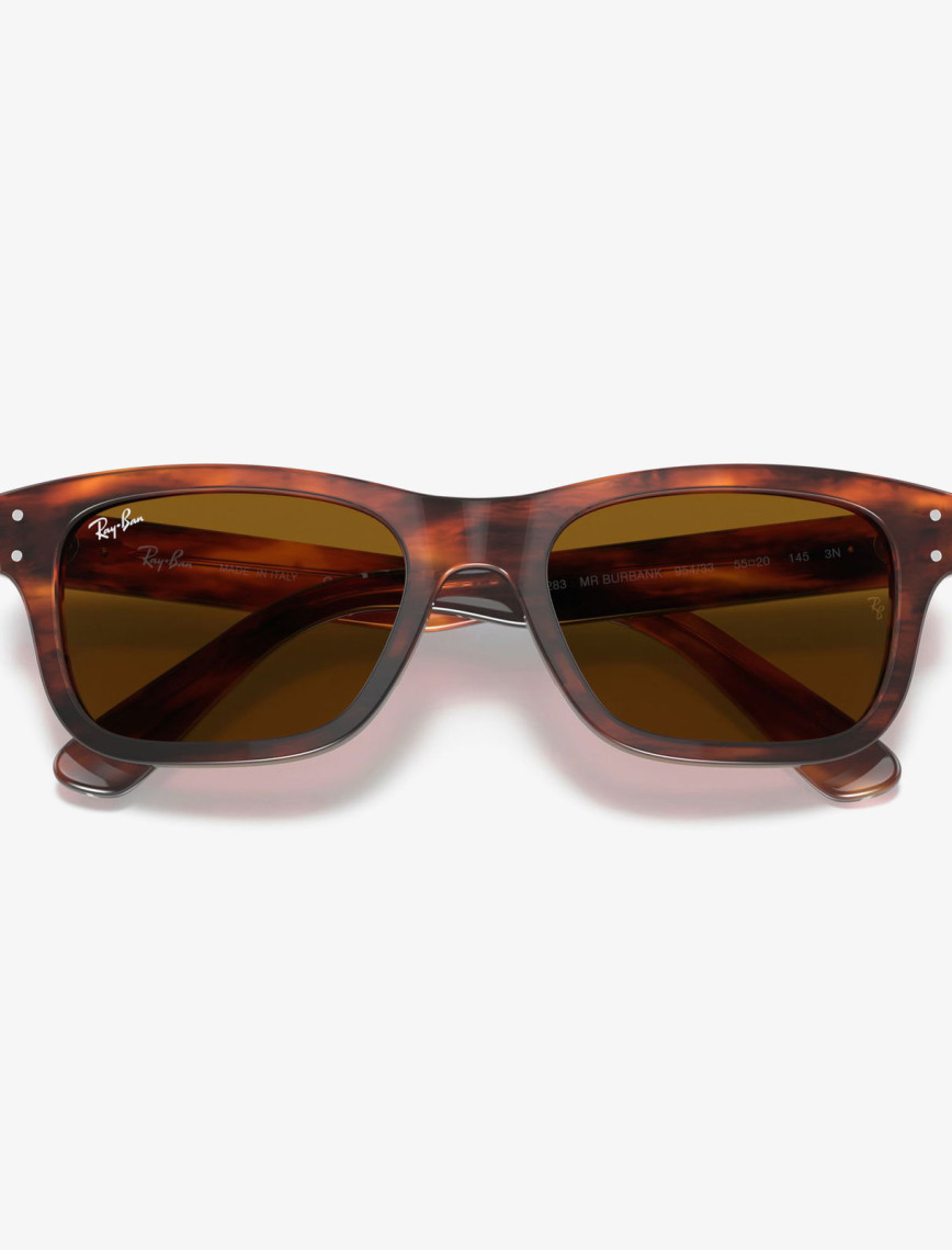 Ray-Ban 0RB2283 Erkek Striped Havana Kahverengi Güneş Gözlüğü