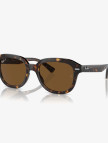 RAY-BAN 0RB4398 Unisex Gri Güneş Gözlüğü RAY-BAN 0RB4398 Unisex Gri Güneş Gözlüğü