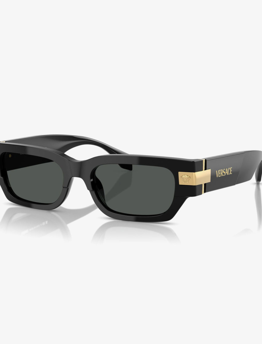 VERSACE Ve4465 Erkek Siyah Güneş Gözlüğü