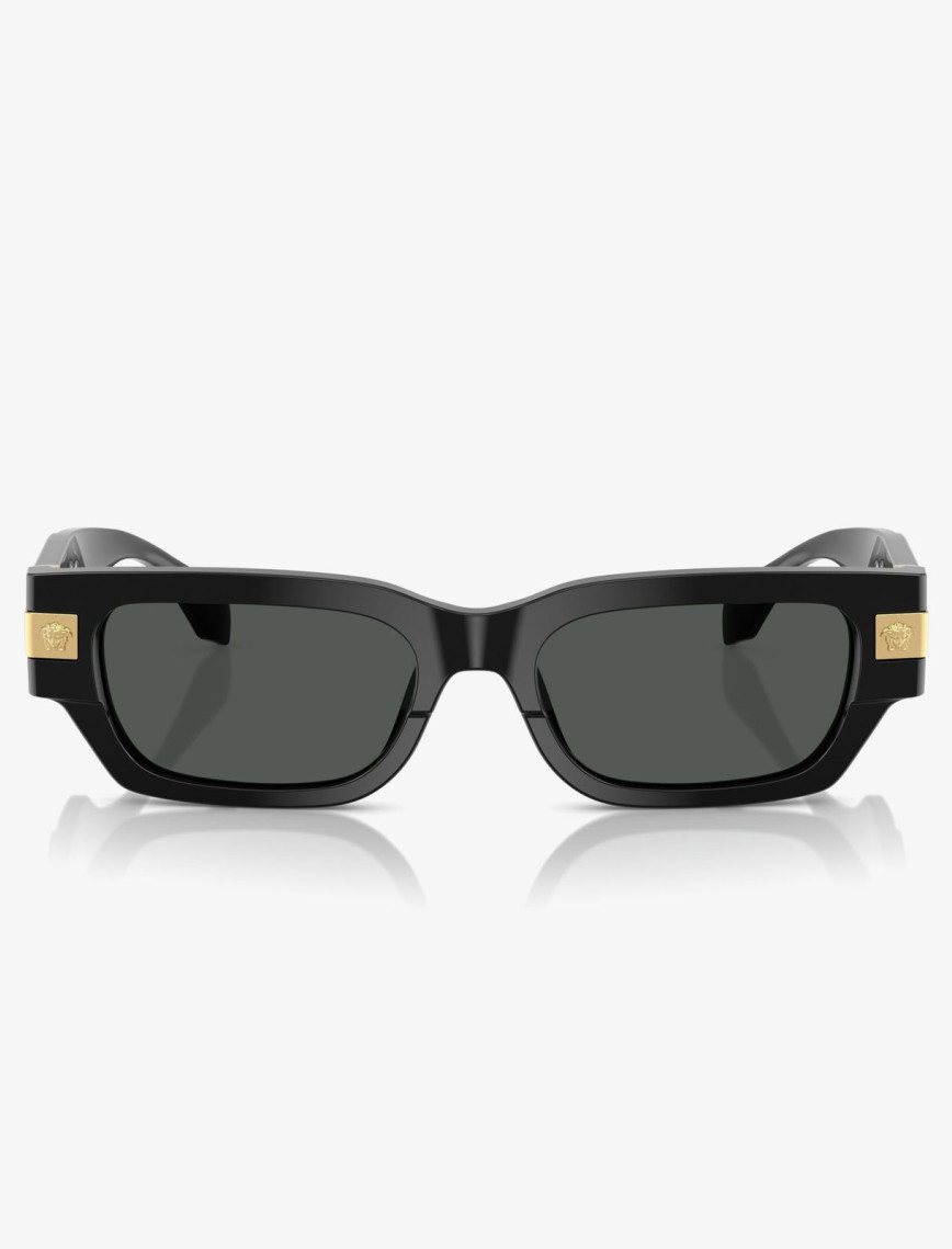 VERSACE Ve4465 Erkek Siyah Güneş Gözlüğü