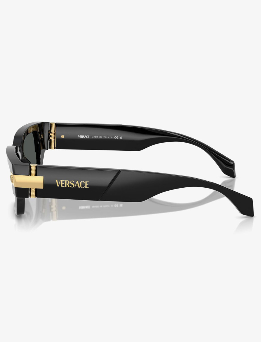 VERSACE Ve4465 Erkek Siyah Güneş Gözlüğü