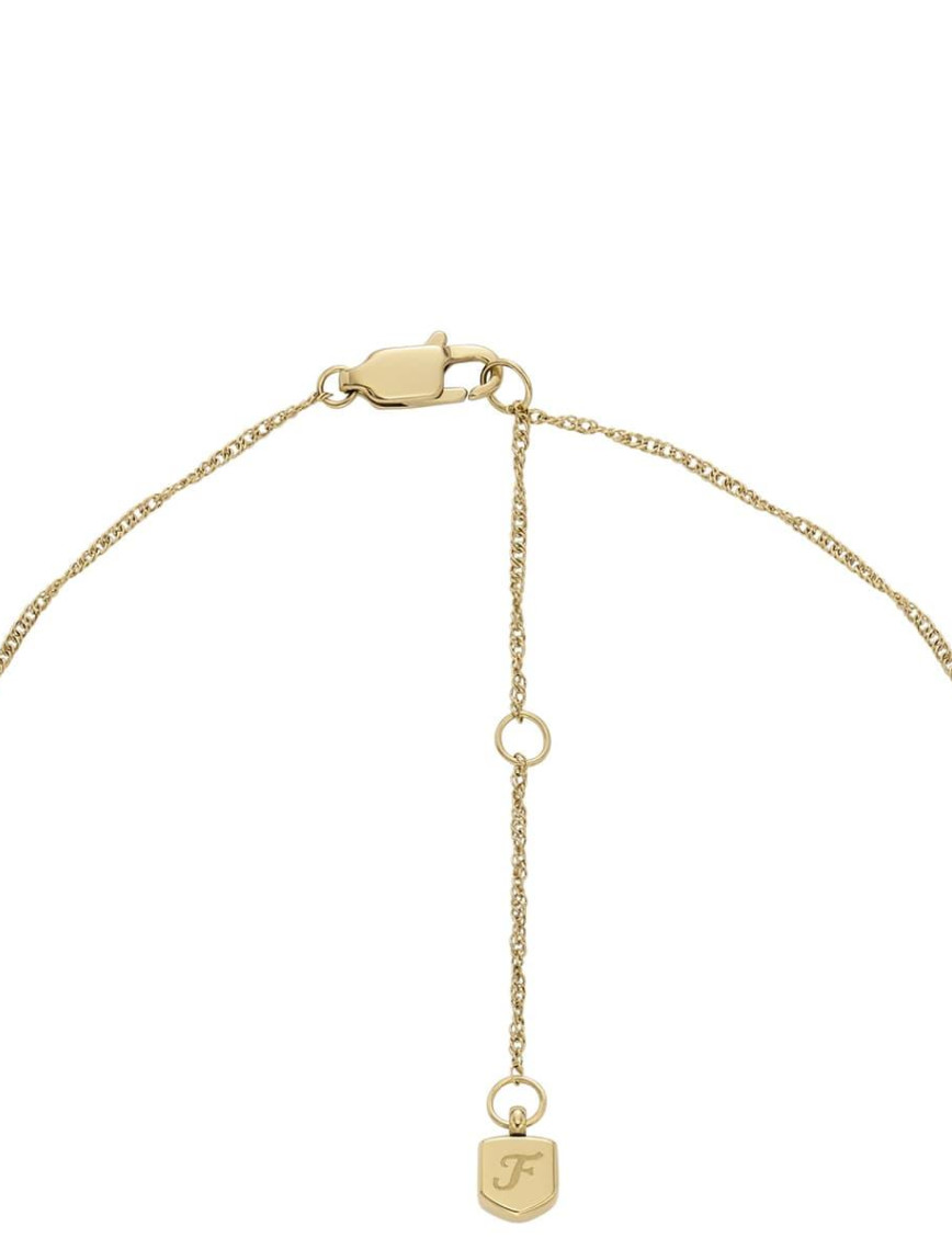 Fossil JF04793-710 Kadın Kolye Fossil JF04793-710 Kadın Kolye