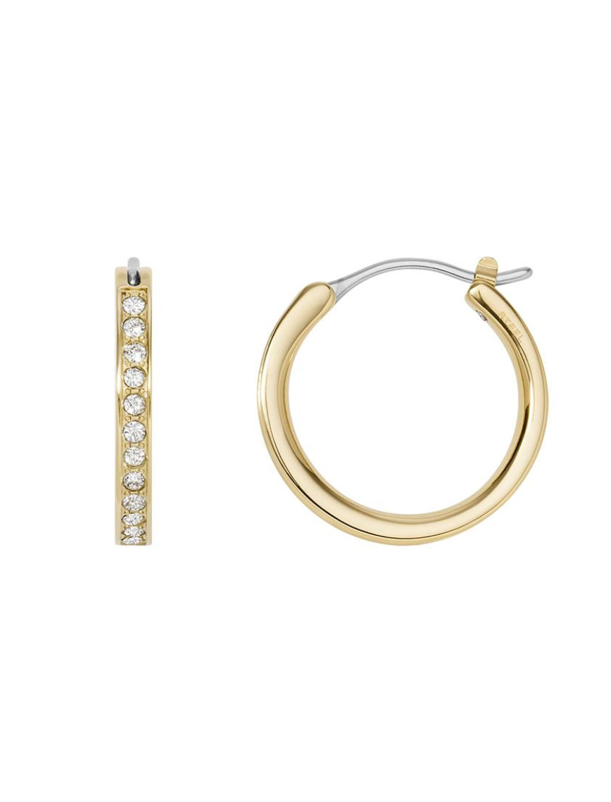 Fossil JOF00806-710 Kadın Küpe Fossil JOF00806-710 Kadın Küpe