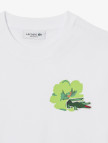 Lacoste Kadın Regular Fit Bisiklet Yaka Beyaz T-Shirt Lacoste Kadın Regular Fit Bisiklet Yaka Beyaz T-Shirt
