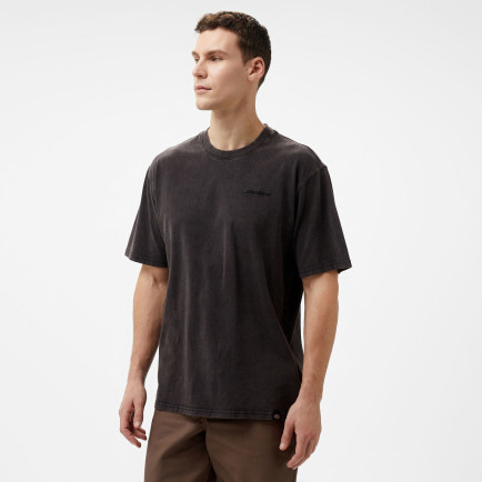 Dickies Plentywood SS Siyah Erkek T-Shirt Dickies Plentywood SS Siyah Erkek T-Shirt
