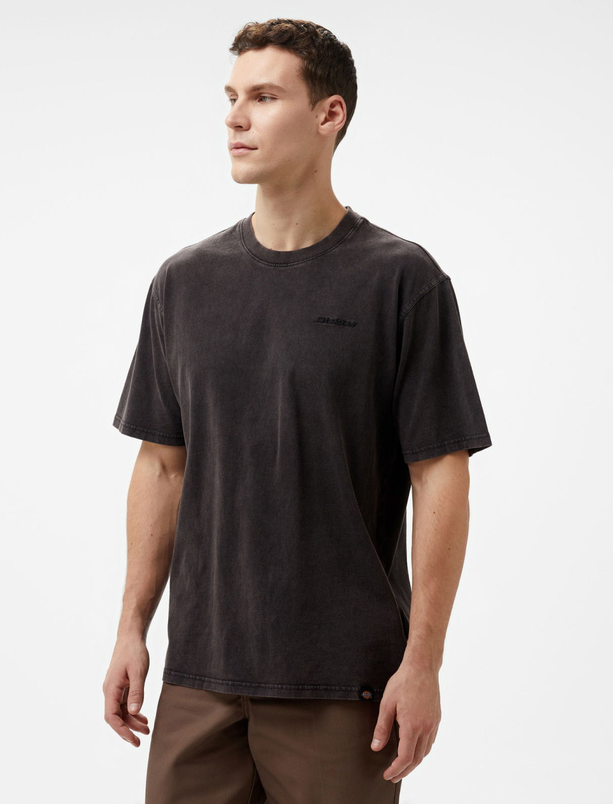 Dickies Plentywood SS Siyah Erkek T-Shirt Dickies Plentywood SS Siyah Erkek T-Shirt