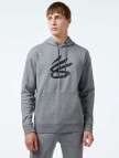 Under Armour Curry Splash Erkek Gri Hoodie