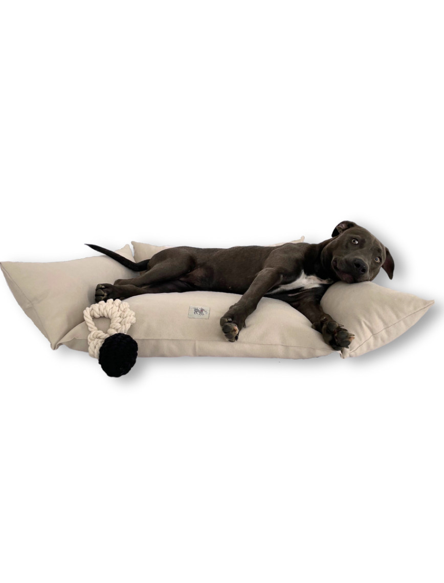 St. Pia Cornette Kedi ve Köpek Yatağı St. Pia Cornette Kedi ve Köpek Yatağı