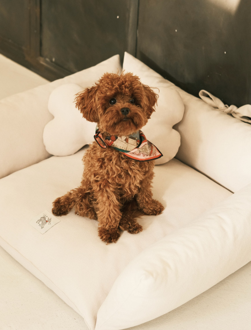 St. Pia Cornette Kedi ve Köpek Yatağı St. Pia Cornette Kedi ve Köpek Yatağı