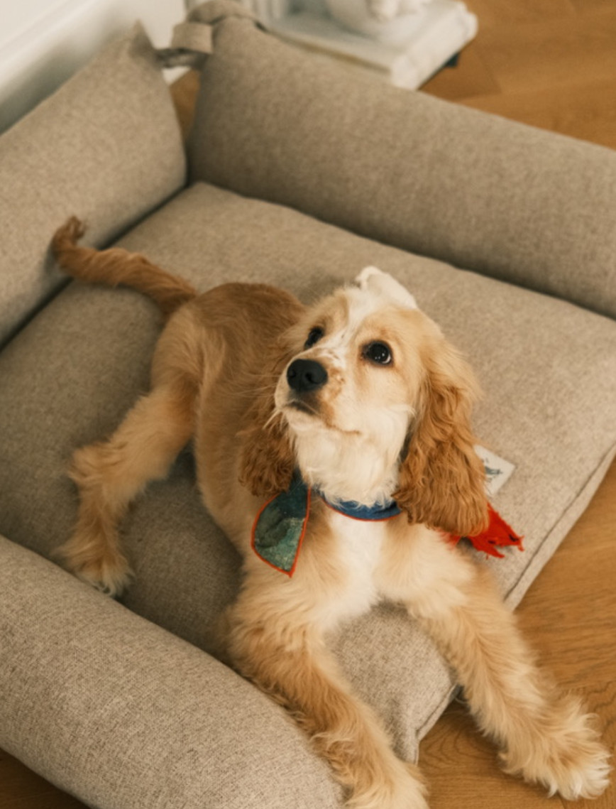 St. Pia Cornette Kedi ve Köpek Yatağı St. Pia Cornette Kedi ve Köpek Yatağı