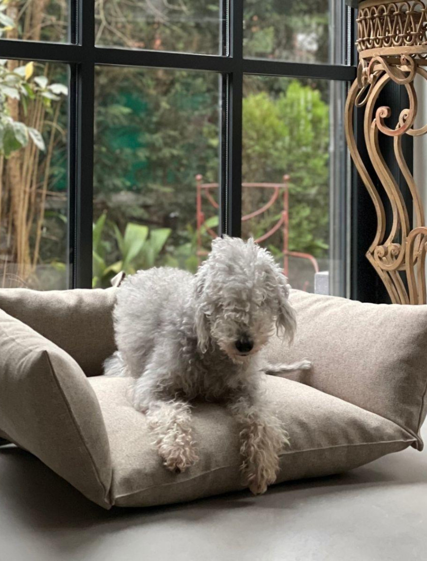 St. Pia Cornette Kedi ve Köpek Yatağı St. Pia Cornette Kedi ve Köpek Yatağı