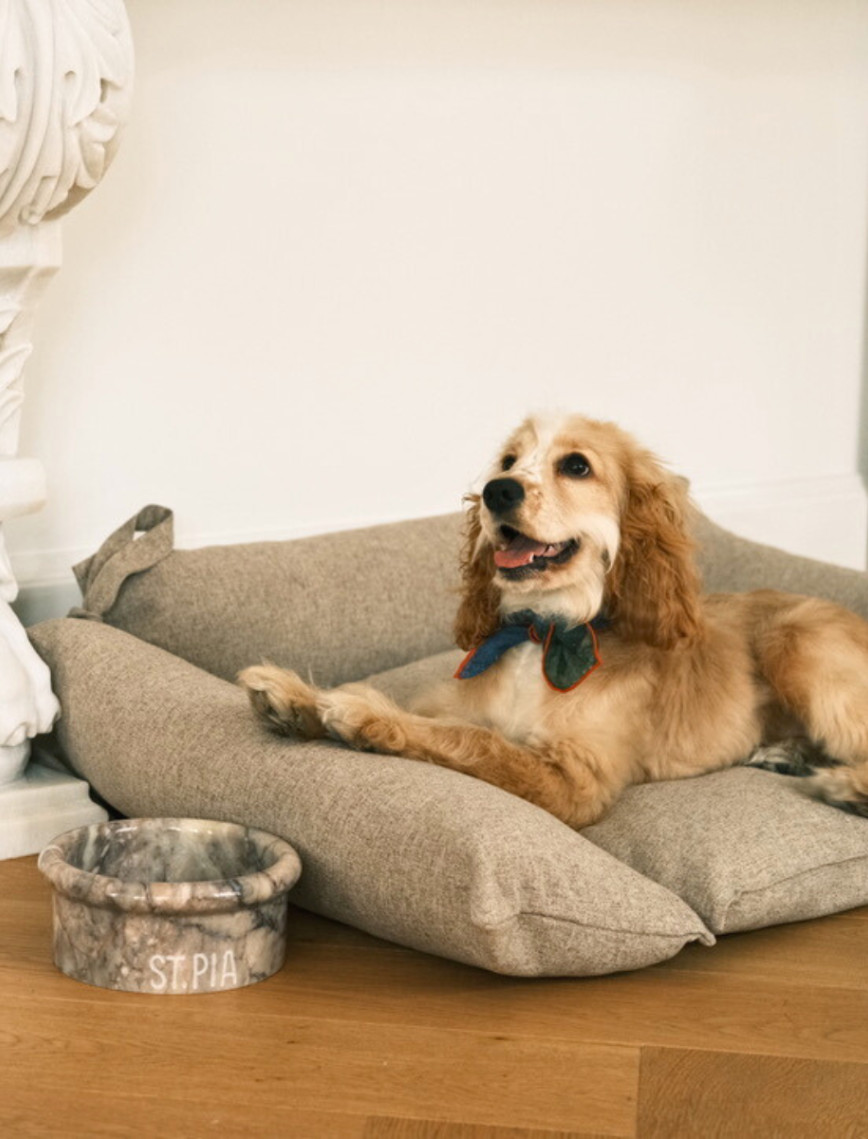 St. Pia Cornette Kedi ve Köpek Yatağı St. Pia Cornette Kedi ve Köpek Yatağı