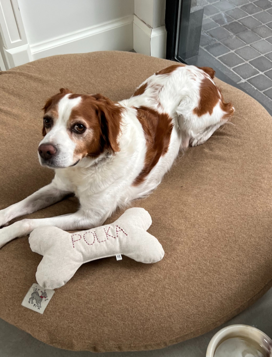 St. Pia Bone Köpek Yastığı St. Pia Bone Köpek Yastığı