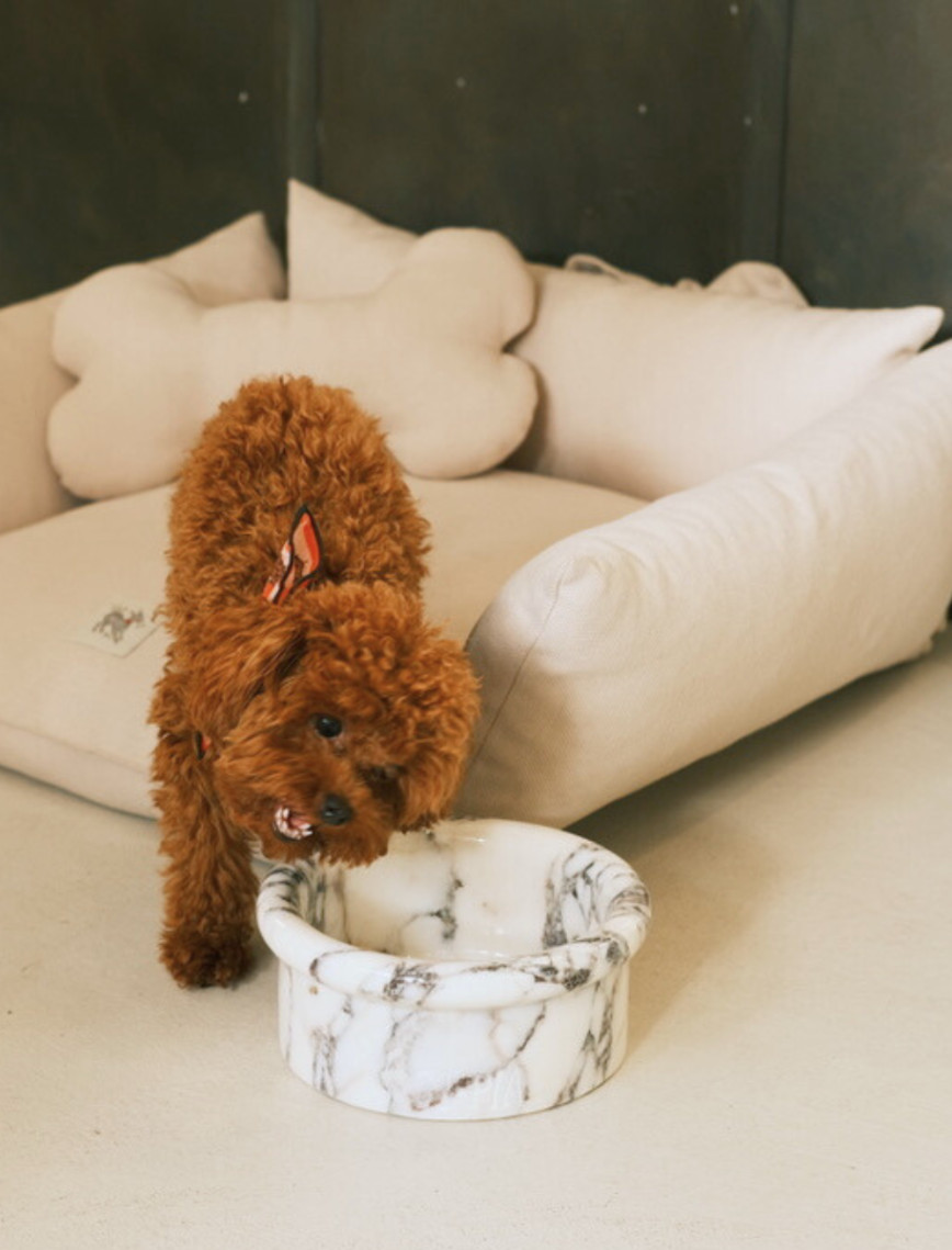 St. Pia Marbowl Mama ve Su Kabı St. Pia Marbowl Mama ve Su Kabı