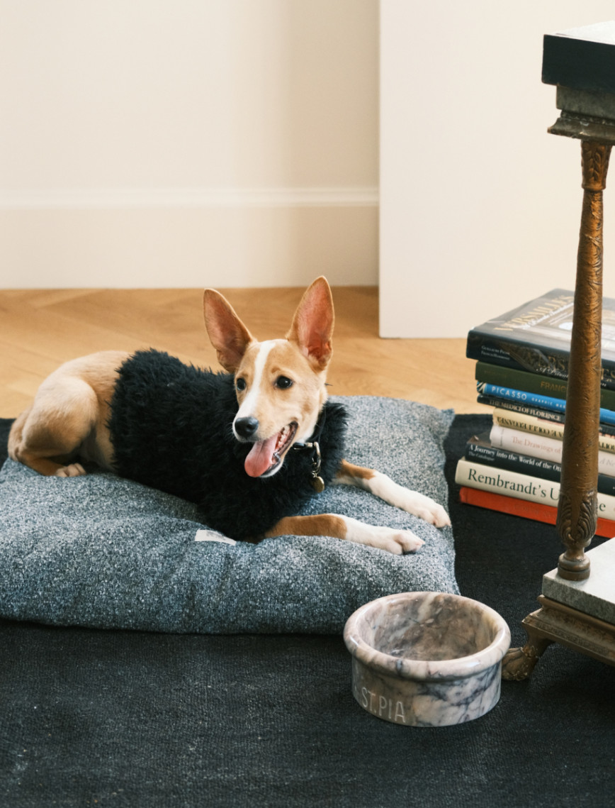 St. Pia Marbowl Mama ve Su Kabı St. Pia Marbowl Mama ve Su Kabı