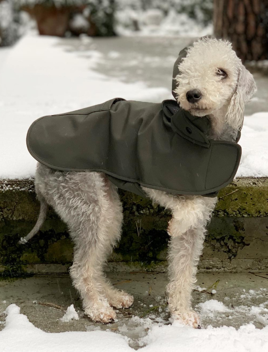 St. Pia Pluvio Köpek Yağmurluğu St. Pia Pluvio Köpek Yağmurluğu