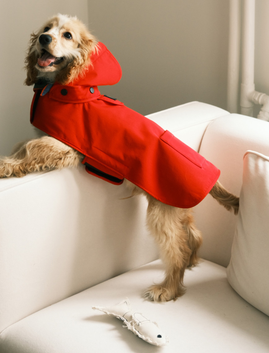 St. Pia Pluvio Köpek Yağmurluğu St. Pia Pluvio Köpek Yağmurluğu