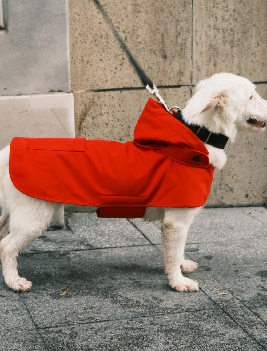 St. Pia Pluvio Köpek Yağmurluğu St. Pia Pluvio Köpek Yağmurluğu