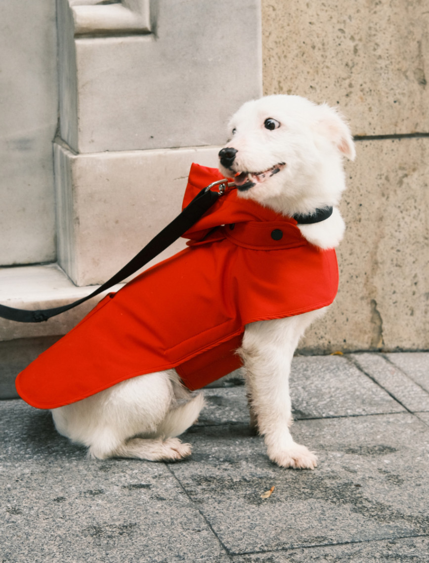 St. Pia Pluvio Köpek Yağmurluğu St. Pia Pluvio Köpek Yağmurluğu