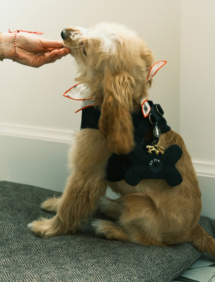 St. Pia Osso Torba Taşıyıcı St. Pia Osso Torba Taşıyıcı