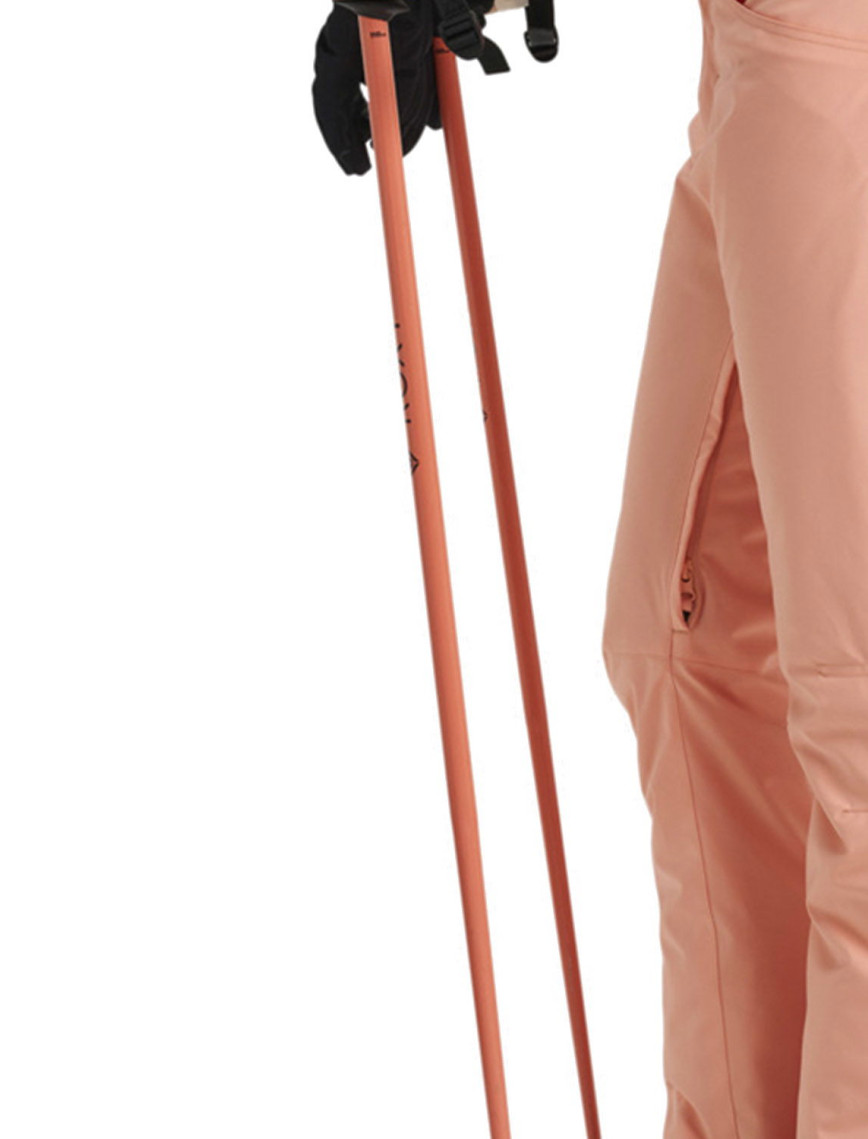 Roxy Backyard Kadın Kar Pantolonu Roxy Backyard Kadın Kar Pantolonu