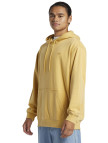 Quiksilver Salt Water Hoodie Erkek Sweatshirt Quiksilver Salt Water Hoodie Erkek Sweatshirt