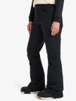 Roxy Backyard Pt Kadın Siyah Kayak Pantolonu Roxy Backyard Pt Kadın Siyah Kayak Pantolonu