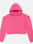 Les Benjamins Essential Kadın Pembe Hoodie Les Benjamins Essential Kadın Pembe Hoodie